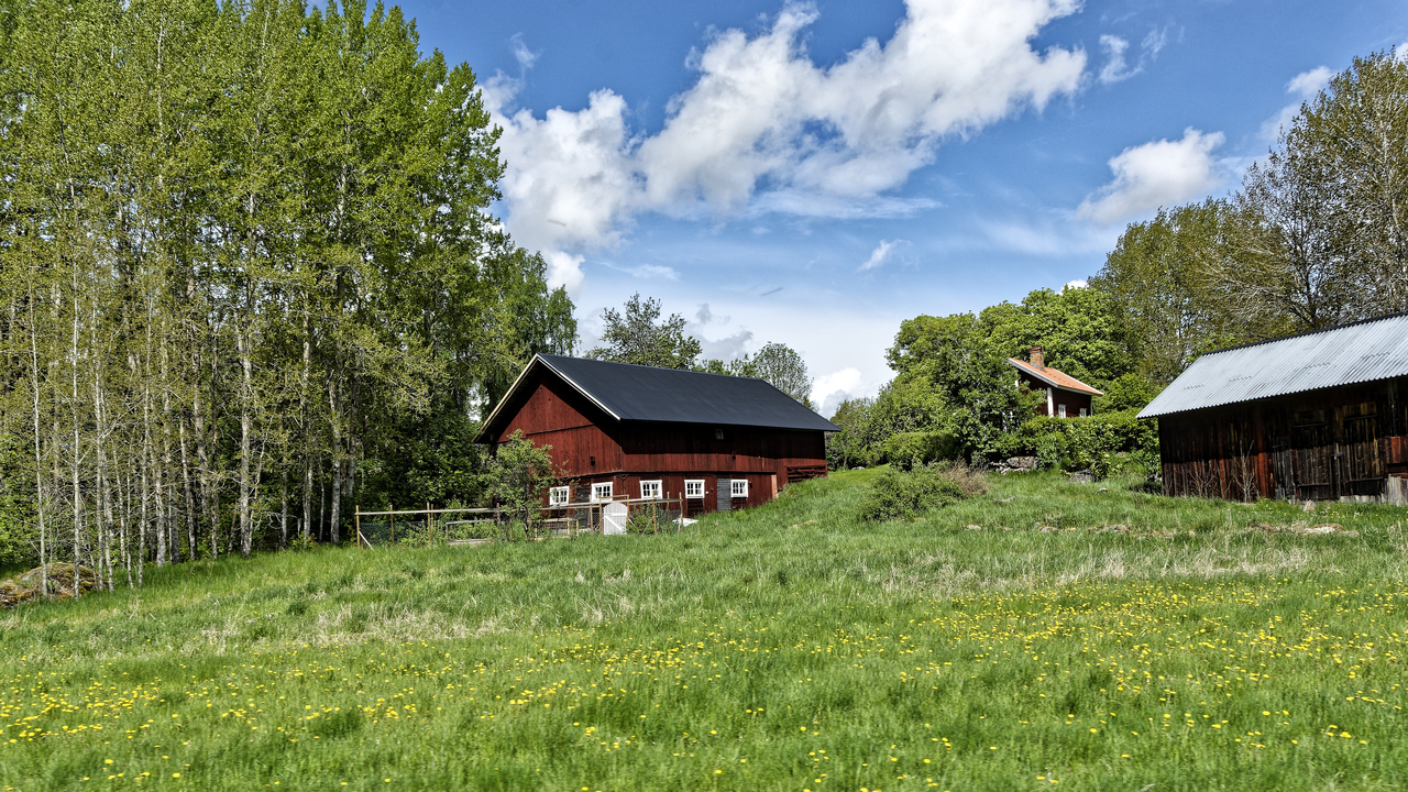 20220601 114839~Almunge~Uppsala~Sweden